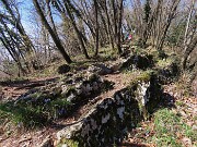 Festa di fiori sui sentieri per il Monte Ubione-19mar24